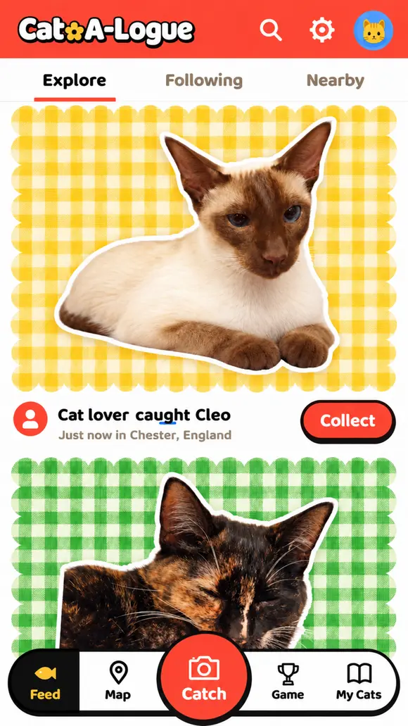 Illustrative Cat-A-Logue feed showing Cleo and Willow