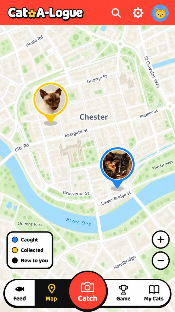 Illustrative map preview with cat markers